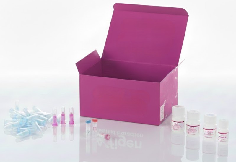 [0036-T8235717d-2] Matriz de tejido para cáncer de mama triple negativa – Portaobjetos FFPE-2